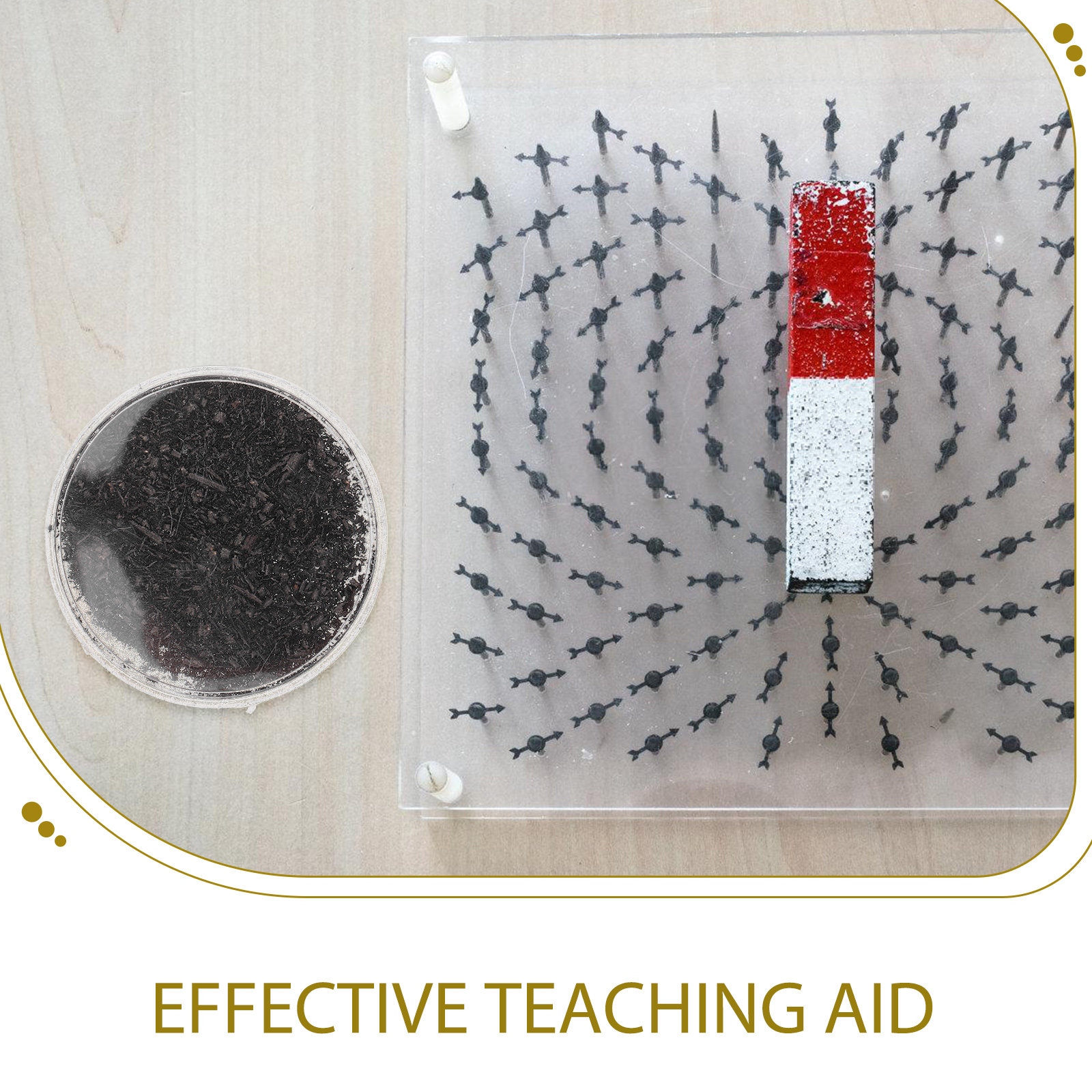 Magnetic Iron Powder Filings S - Science Experiment Kit review and price