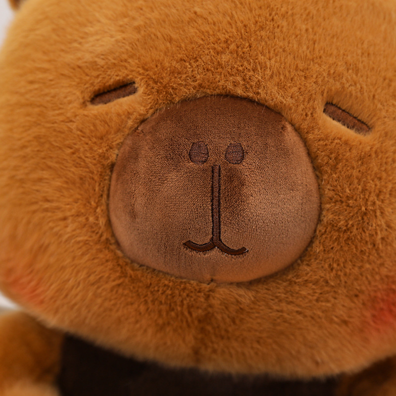 New Capybara Plush Toy Stuffed - Best Kids Toys Xmas review and price